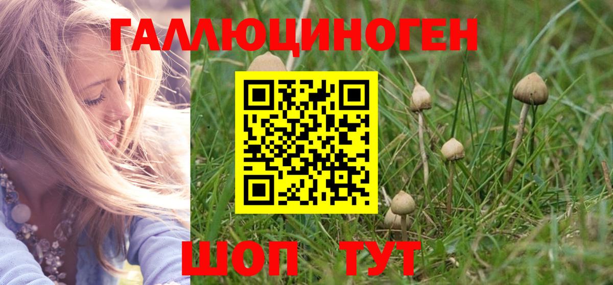 Псилоцибиновые грибы Psilocybine cubensis  Вход с VPN  Туапсе 