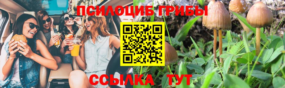 Псилоцибиновые грибы Magic Shrooms Туапсе